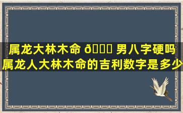 属龙大林木命 💐 男八字硬吗（属龙人大林木命的吉利数字是多少）